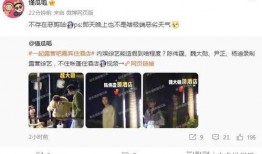 综艺爆料生子视频大全最新,最新生子视频大全，明星辣妈育儿瞬间大揭秘！